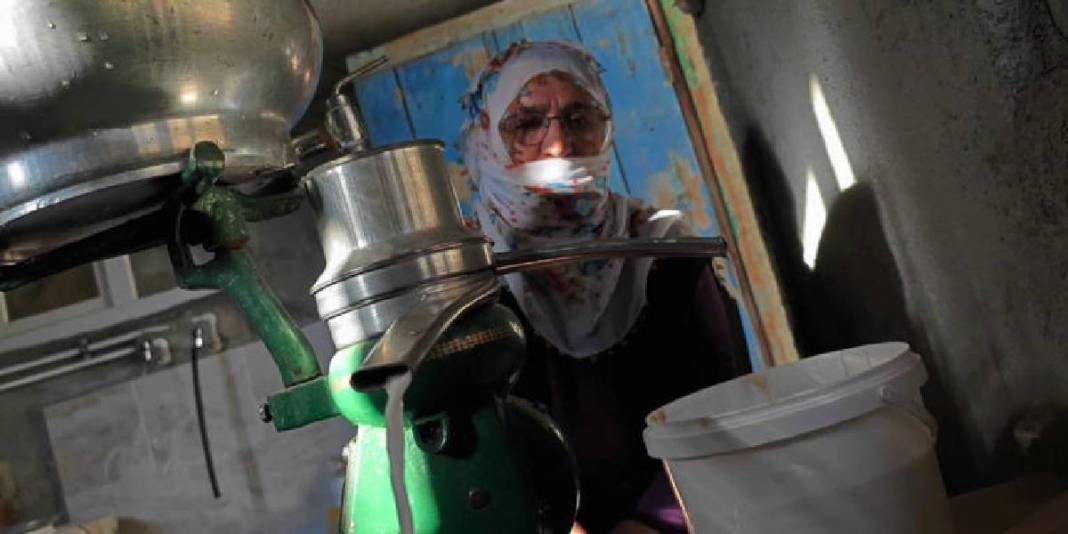 Sadece Türkiye’de değil dünya mutfağında da söz sahibi! Geleneksel lezzet: Peynir deyip geçmek büyük hata 3